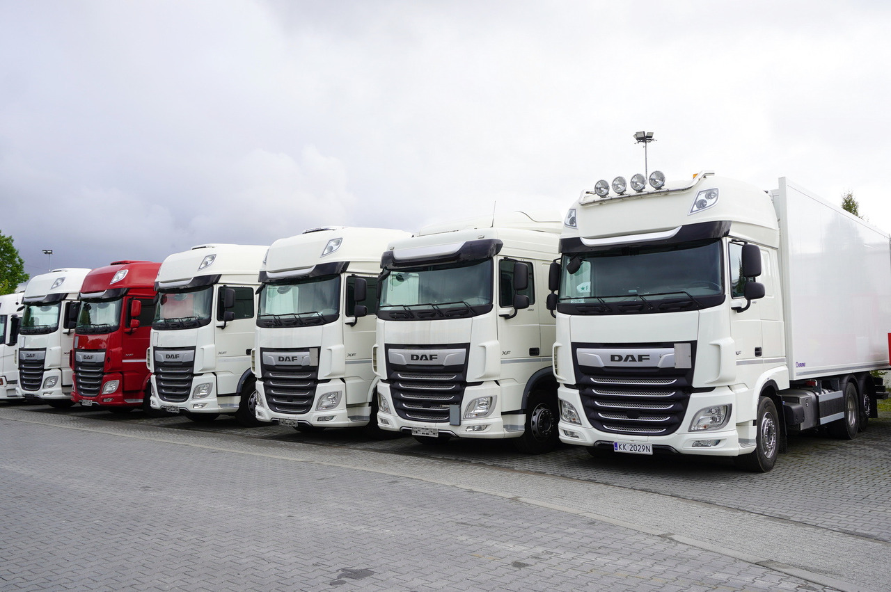 DAF XF 480 E6 6×2 / Refrigerator 18 pallets / 6 units - Camión frigorífico: foto 2 DAF XF 480 E6 6×2 / Refrigerator 18 pallets / 6 units - Camión frigorífico: foto 2