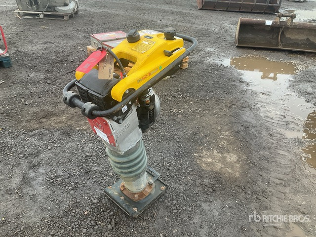 2020 Wacker Neuson BS50-2plus Demolition Breaker Jumping Jack Tamper - Vibroapisonador: foto 1 2020 Wacker Neuson BS50-2plus Demolition Breaker Jumping Jack Tamper - Vibroapisonador: foto 1