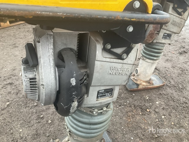 2020 Wacker Neuson BS50-2plus Jumping Jack Tamper Jumping Jack Tamper - Vibroapisonador: foto 5 2020 Wacker Neuson BS50-2plus Jumping Jack Tamper Jumping Jack Tamper - Vibroapisonador: foto 5