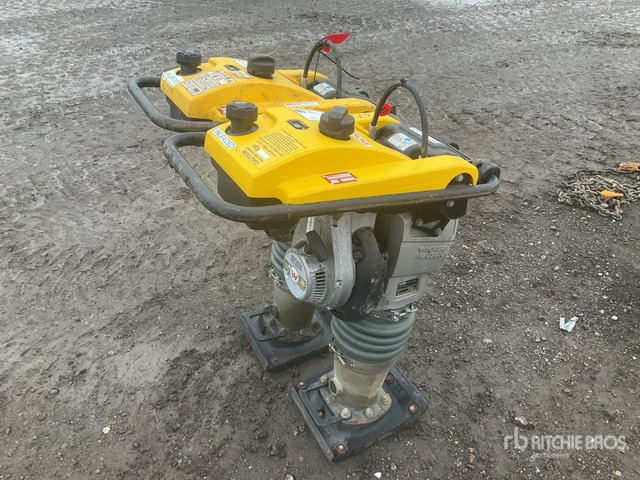 2020 Wacker Neuson BS50-2plus Jumping Jack Tamper Jumping Jack Tamper - Vibroapisonador: foto 4 2020 Wacker Neuson BS50-2plus Jumping Jack Tamper Jumping Jack Tamper - Vibroapisonador: foto 4