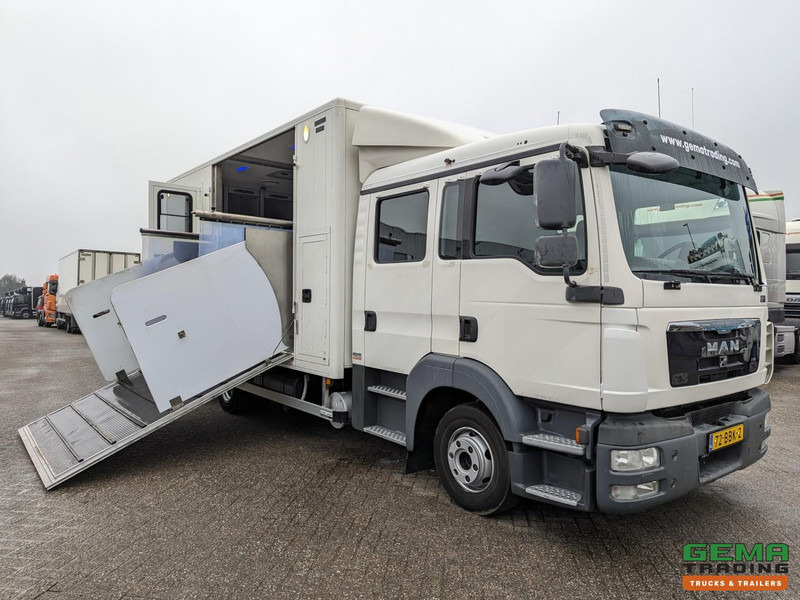 MAN TGL 12.180 4x2 DoKa 7 pers. Euro5 EEV - Paardenwagen 2-Paards - 147.000km! - MARGE - Camión para caballos: foto 1 MAN TGL 12.180 4x2 DoKa 7 pers. Euro5 EEV - Paardenwagen 2-Paards - 147.000km! - MARGE - Camión para caballos: foto 1