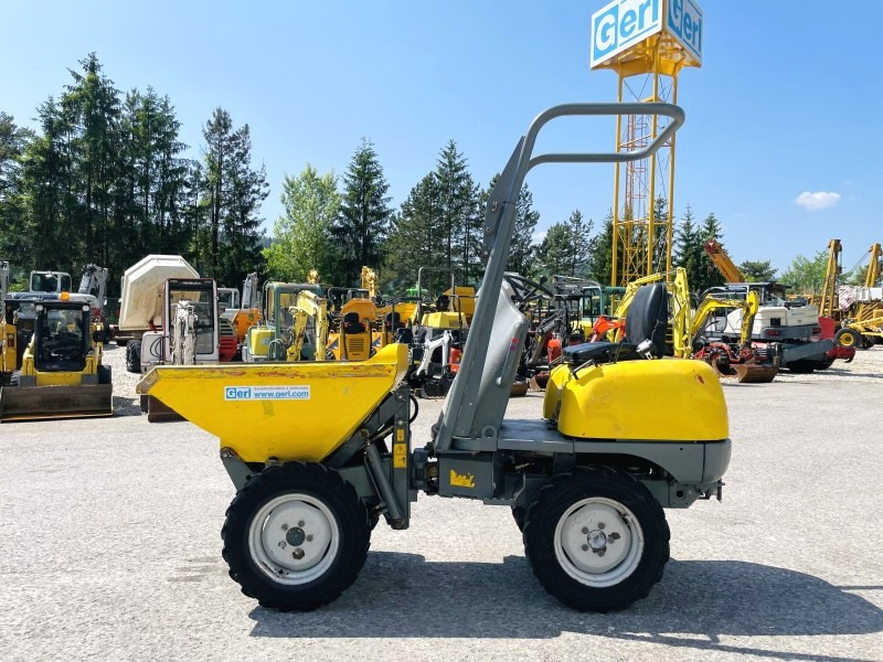 Neuson 1001 (3631) - Minidumper: foto 1 Neuson 1001 (3631) - Minidumper: foto 1