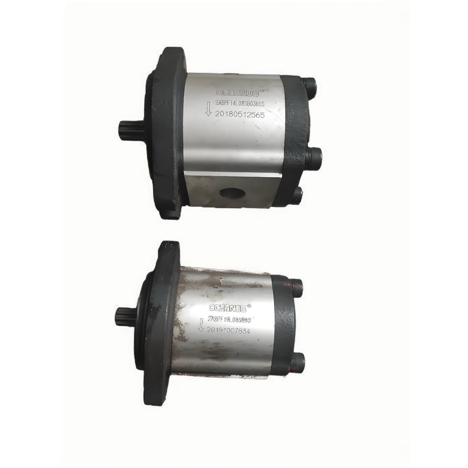 OCEANUS Gear Pump for China Wheel Loader - Bomba hidráulica para Cargadora de ruedas: foto 1 OCEANUS Gear Pump for China Wheel Loader - Bomba hidráulica para Cargadora de ruedas: foto 1