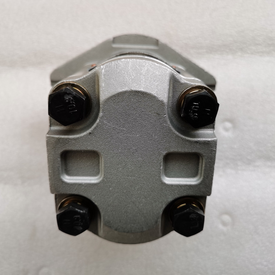 Leasing para QINGDAO PROMISING Hydraulic Pump CBWA-F314-AL5Φ9 QINGDAO PROMISING Hydraulic Pump CBWA-F314-AL5Φ9: foto 6