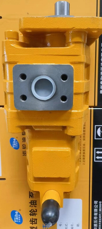 Qingdao Promising Hydraulic Double Gear Pumps Fit China Loader - Bomba hidráulica para Cargadora de ruedas: foto 5 Qingdao Promising Hydraulic Double Gear Pumps Fit China Loader - Bomba hidráulica para Cargadora de ruedas: foto 5