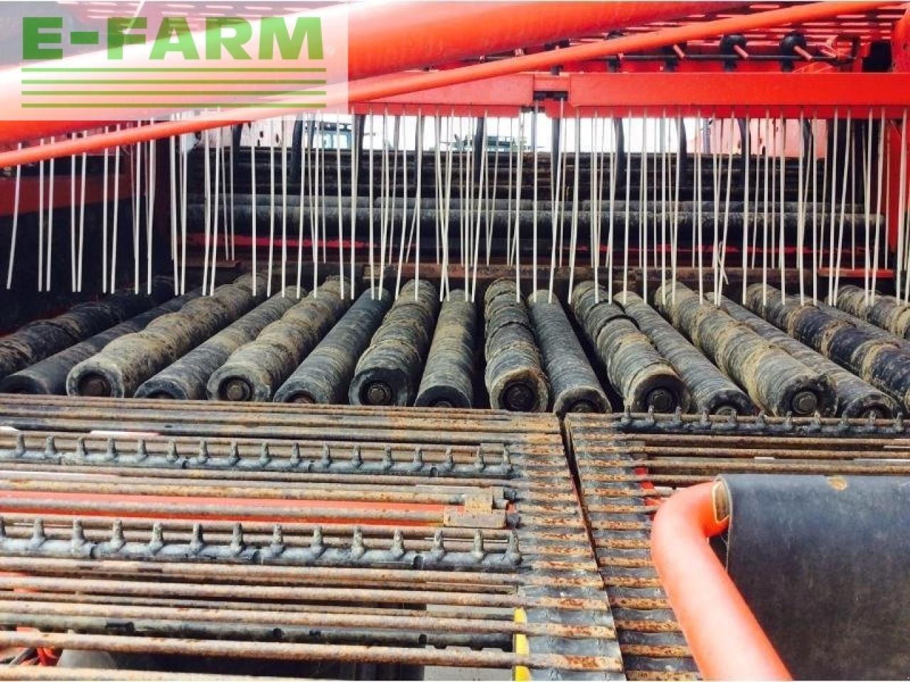 Arrancadora de patatas Grimme gt 170 s: foto 6