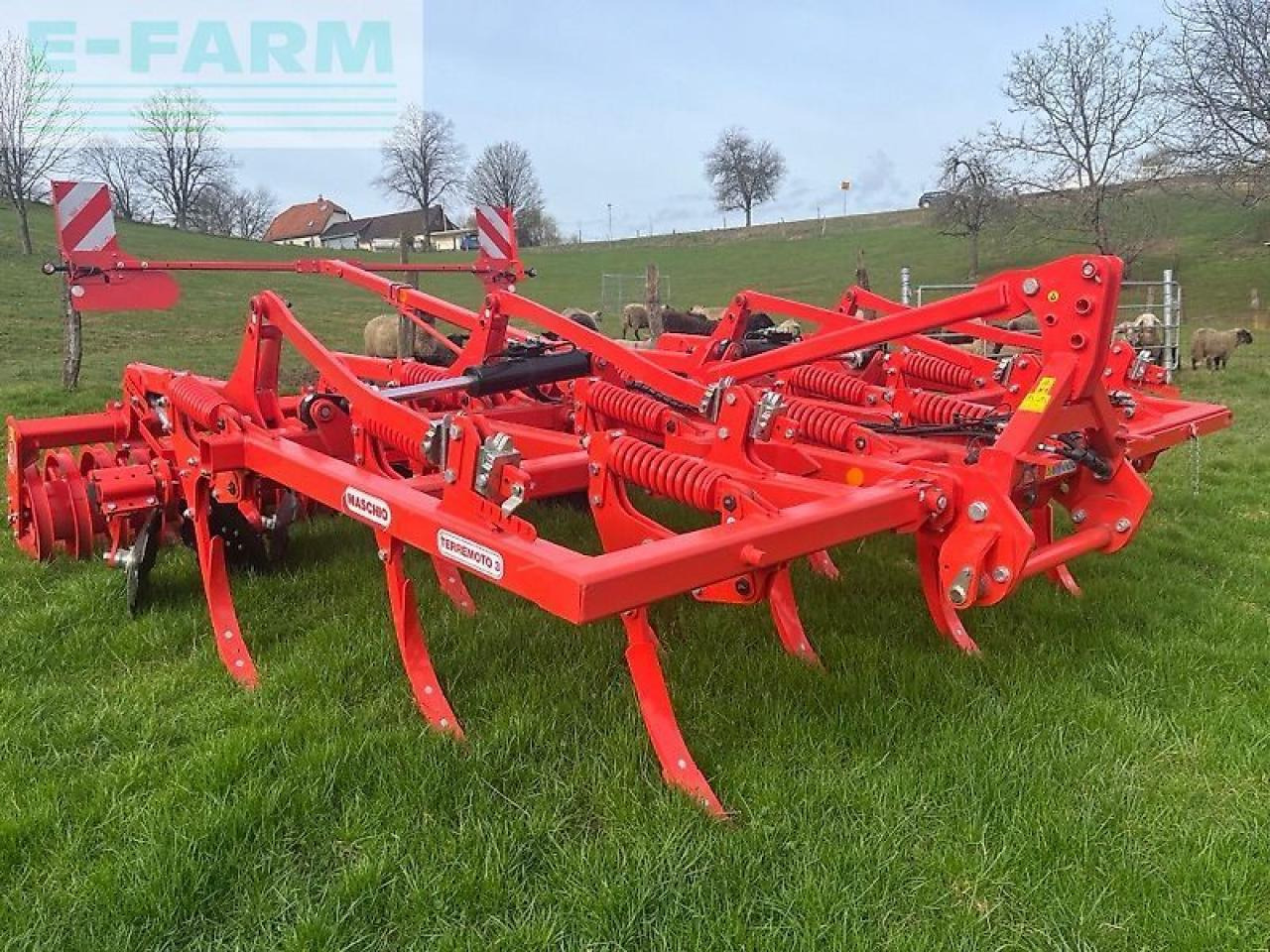 Maschio terremoto 3 400p - Cultivador: foto 1 Maschio terremoto 3 400p - Cultivador: foto 1