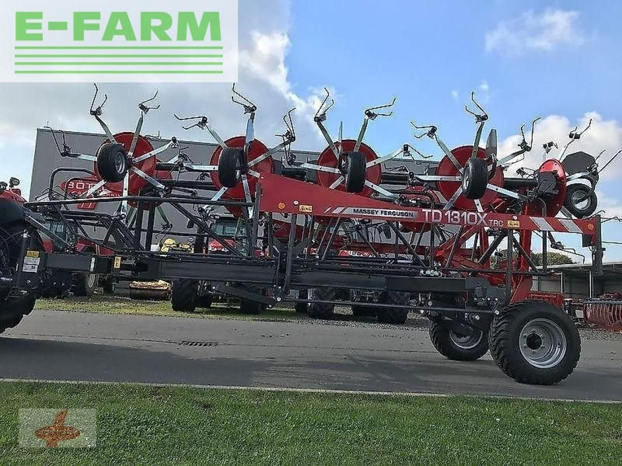 Massey Ferguson mf td 1310 x trc / lotus 1250 profi - Henificadora: foto 3 Massey Ferguson mf td 1310 x trc / lotus 1250 profi - Henificadora: foto 3