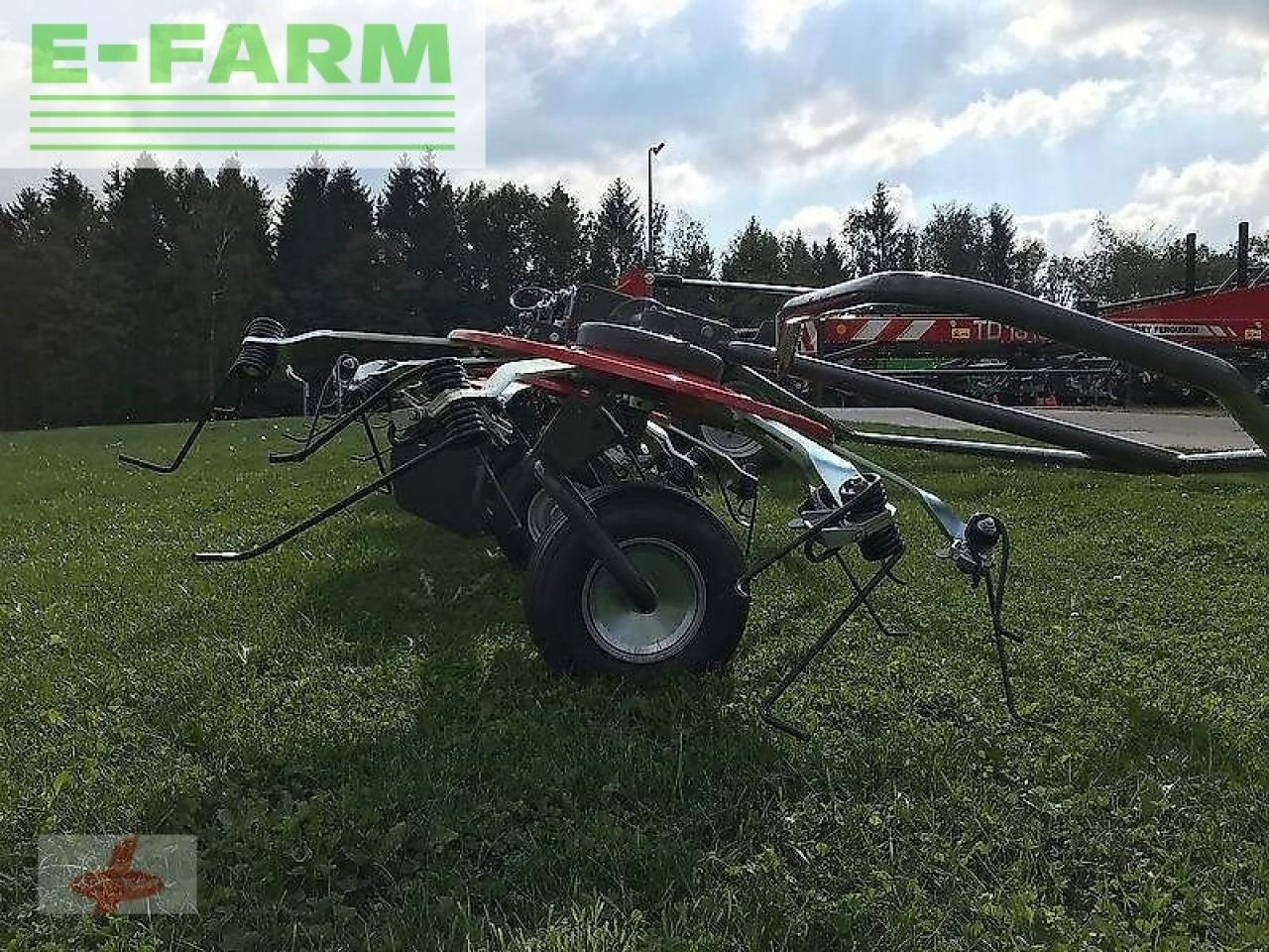 Massey Ferguson mf td 1310 x trc / lotus 1250 profi - Henificadora: foto 5 Massey Ferguson mf td 1310 x trc / lotus 1250 profi - Henificadora: foto 5