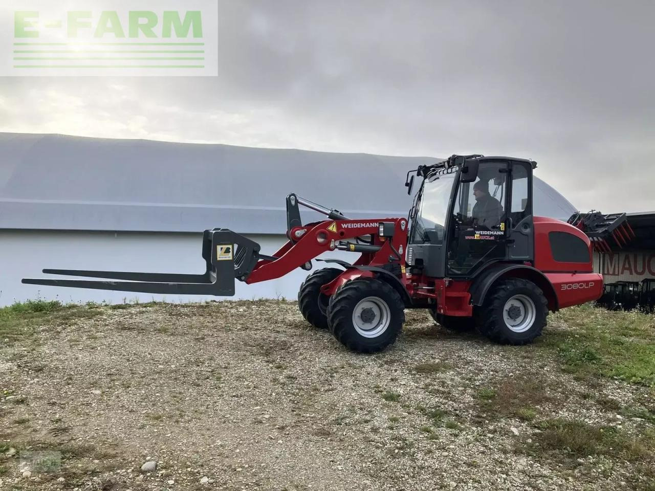 Weidemann 3080lp für geflügelkistengabel sofort verfügbar - Cargadora de ruedas: foto 2 Weidemann 3080lp für geflügelkistengabel sofort verfügbar - Cargadora de ruedas: foto 2