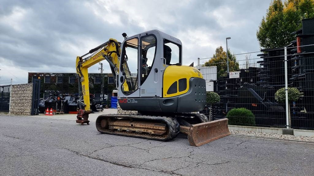 Miniexcavadora Wacker Neuson Minibagger 6003 RD, Verstellausl., MS08, Powertilt: foto 12 Miniexcavadora Wacker Neuson Minibagger 6003 RD, Verstellausl., MS08, Powertilt: foto 12