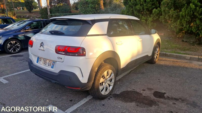 CITROËN C4 - 2020 / 138605 KM (FP-186-QX) - Coche: foto 4 CITROËN C4 - 2020 / 138605 KM (FP-186-QX) - Coche: foto 4