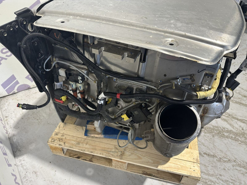 Convertidor catalítico para Camión DAF exhaust catalyst: foto 7