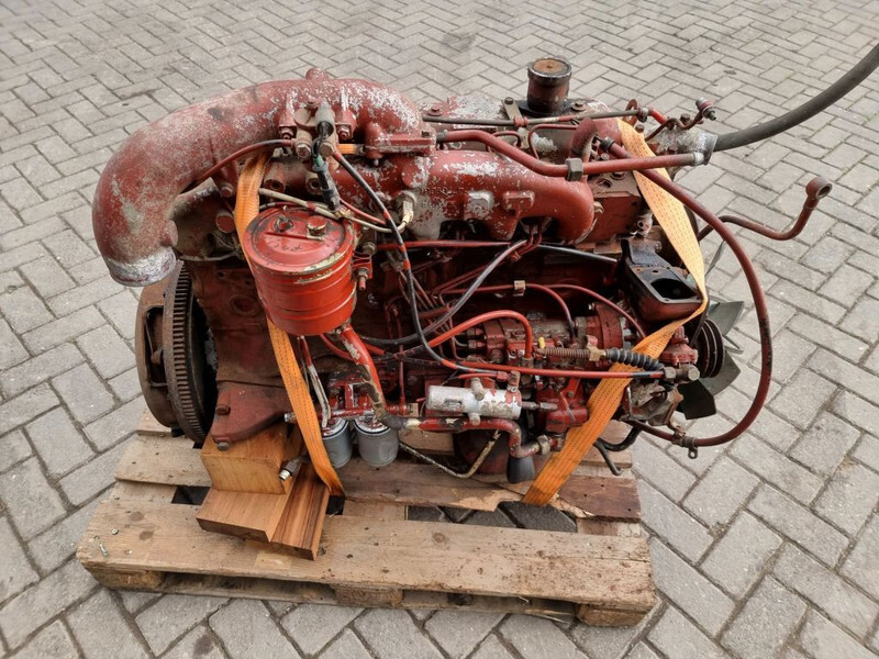Motor para Maquinaria agrícola Fiat 8065-6 / FIAT F100 tractor: foto 1