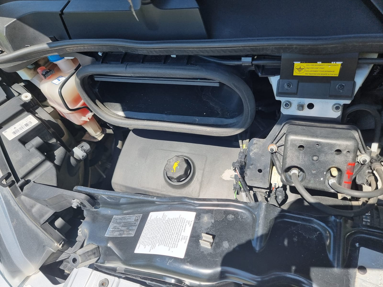 Furgoneta caja abierta FIAT Ducato Maxi: foto 14