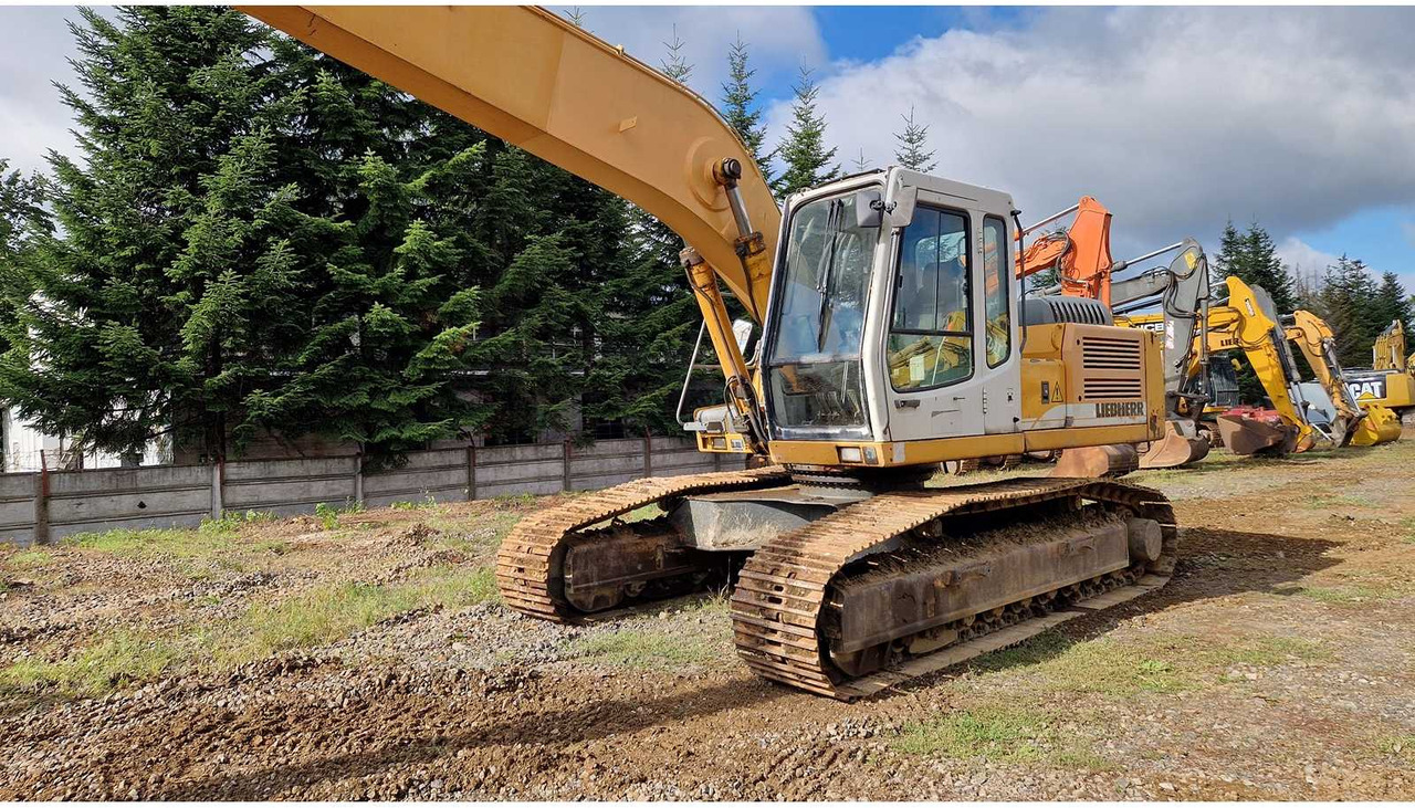 Excavadora 2006 LIEBHERR R924B LONG REACH TRACKED EXCAVATOR: foto 22
