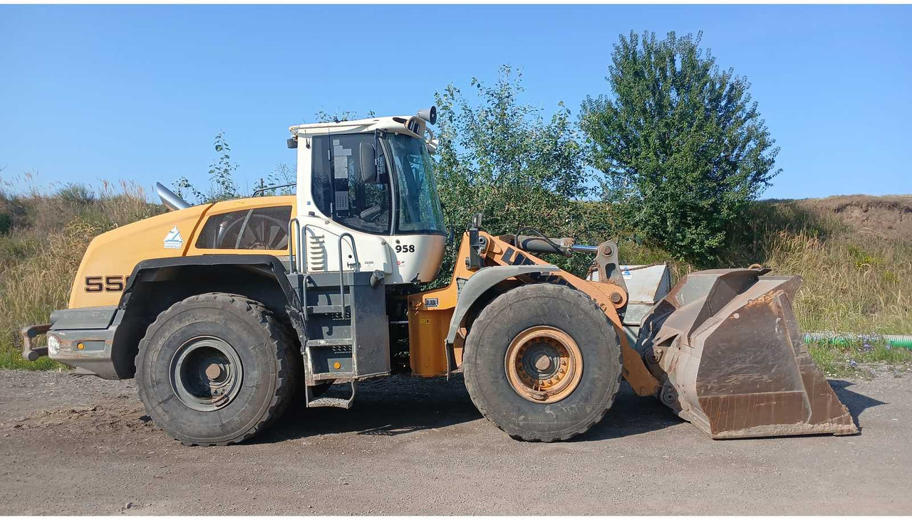 Liebherr L556 - Cargadora de ruedas: foto 1 Liebherr L556 - Cargadora de ruedas: foto 1
