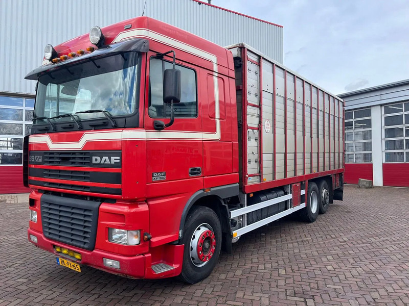 DAF XF FAR 95XF.380 EURO 2 - Camión transporte de ganado: foto 1 DAF XF FAR 95XF.380 EURO 2 - Camión transporte de ganado: foto 1