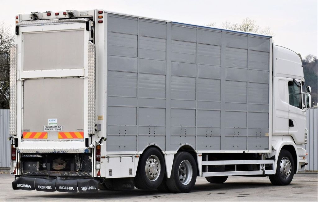 Scania R 500 TIERTRANSPORTWAGEN 7,10m / 4STOCK - Camión transporte de ganado: foto 5 Scania R 500 TIERTRANSPORTWAGEN 7,10m / 4STOCK - Camión transporte de ganado: foto 5