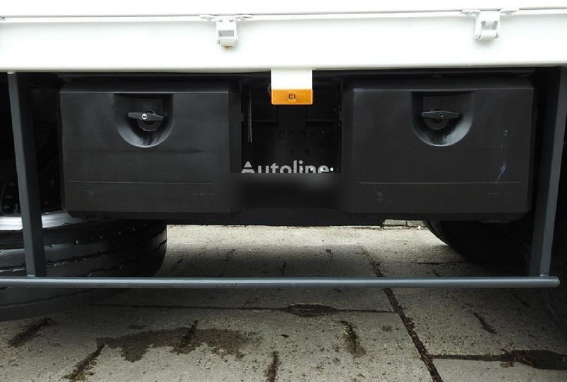 Camión caja abierta, Camión grúa Mercedes-Benz AXOR: foto 19