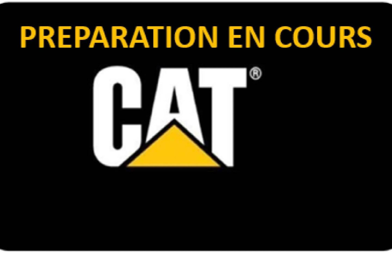 CAT 313F - Excavadora de cadenas: foto 1 CAT 313F - Excavadora de cadenas: foto 1