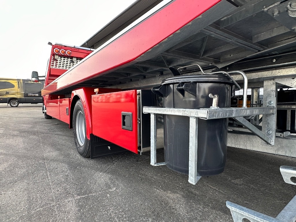 Grua de remolque autos nuevo Iveco Daily 72C18/P Hinausauto: foto 12