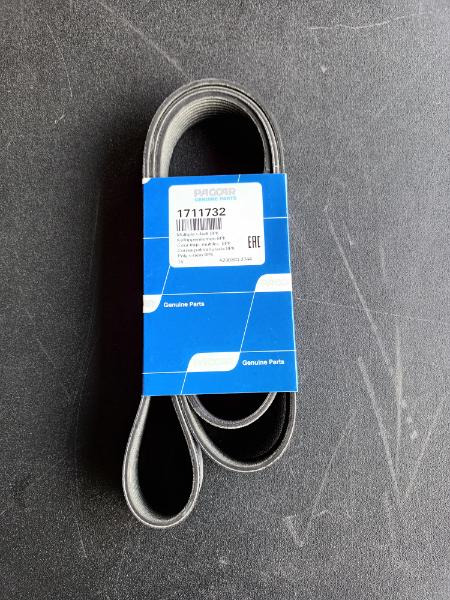 DAF MULTIBELT 1711732 - Correa para Camión: foto 1 DAF MULTIBELT 1711732 - Correa para Camión: foto 1