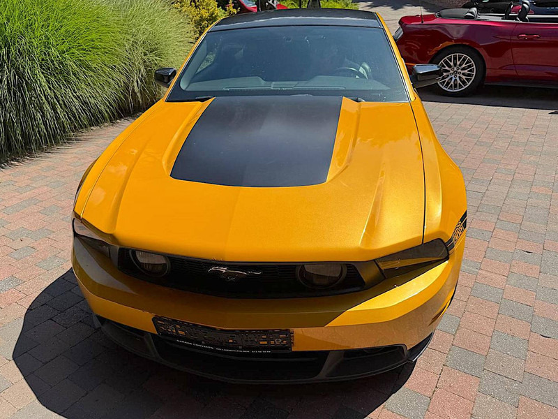 Sedan Ford Mustang GT Boss 302: foto 19
