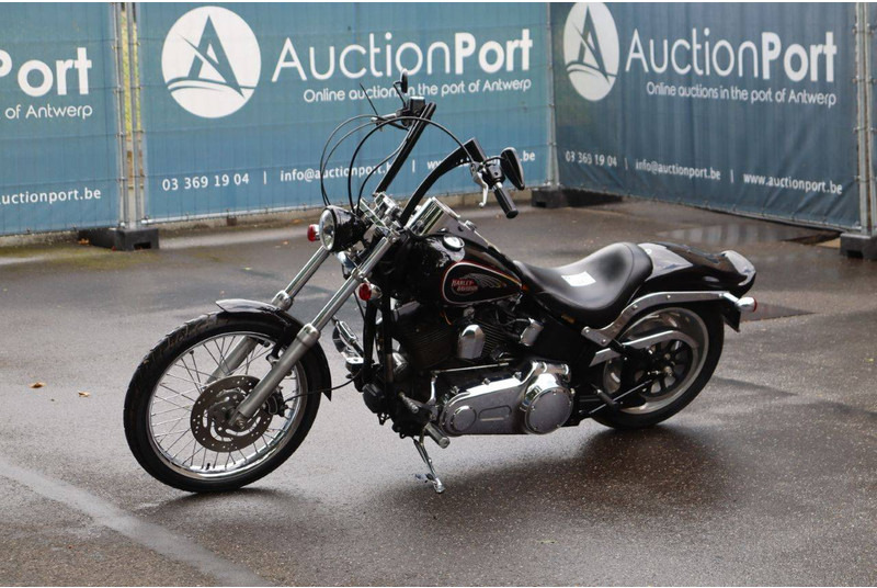 Motocicleta Harley-Davidson Softail Custom: foto 7
