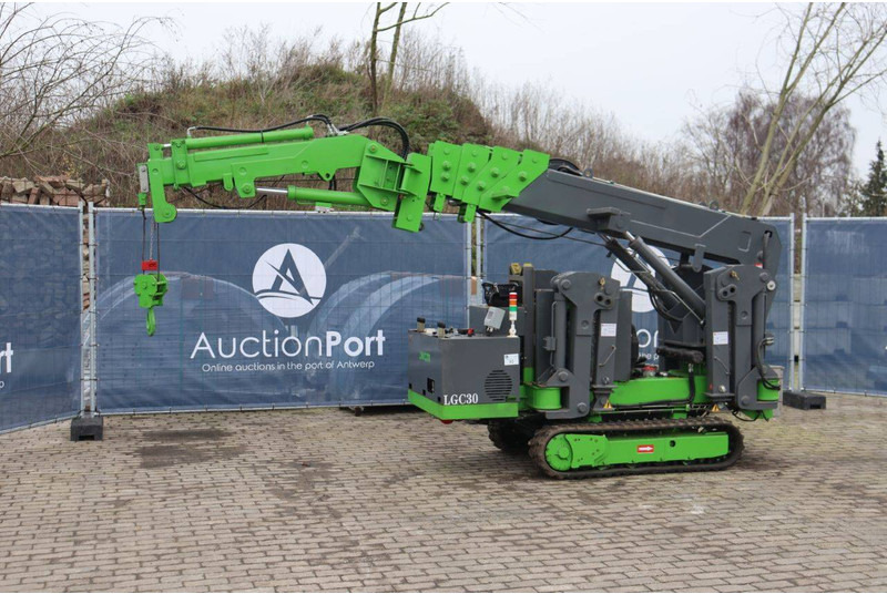 WCM WCM-LGC30 - Grúa: foto 1 WCM WCM-LGC30 - Grúa: foto 1