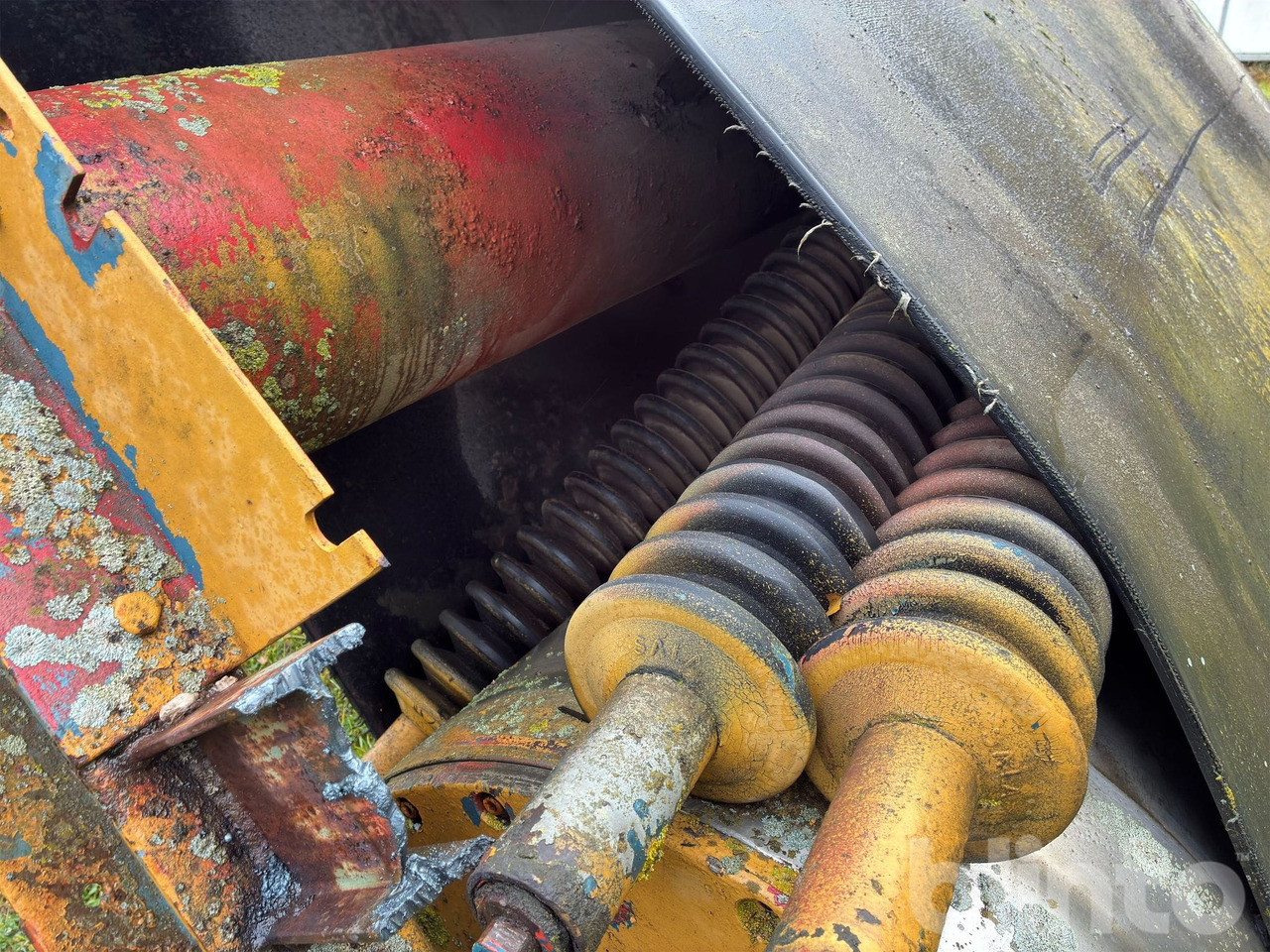 Cribadora Okänt: foto 12 Cribadora Okänt: foto 12