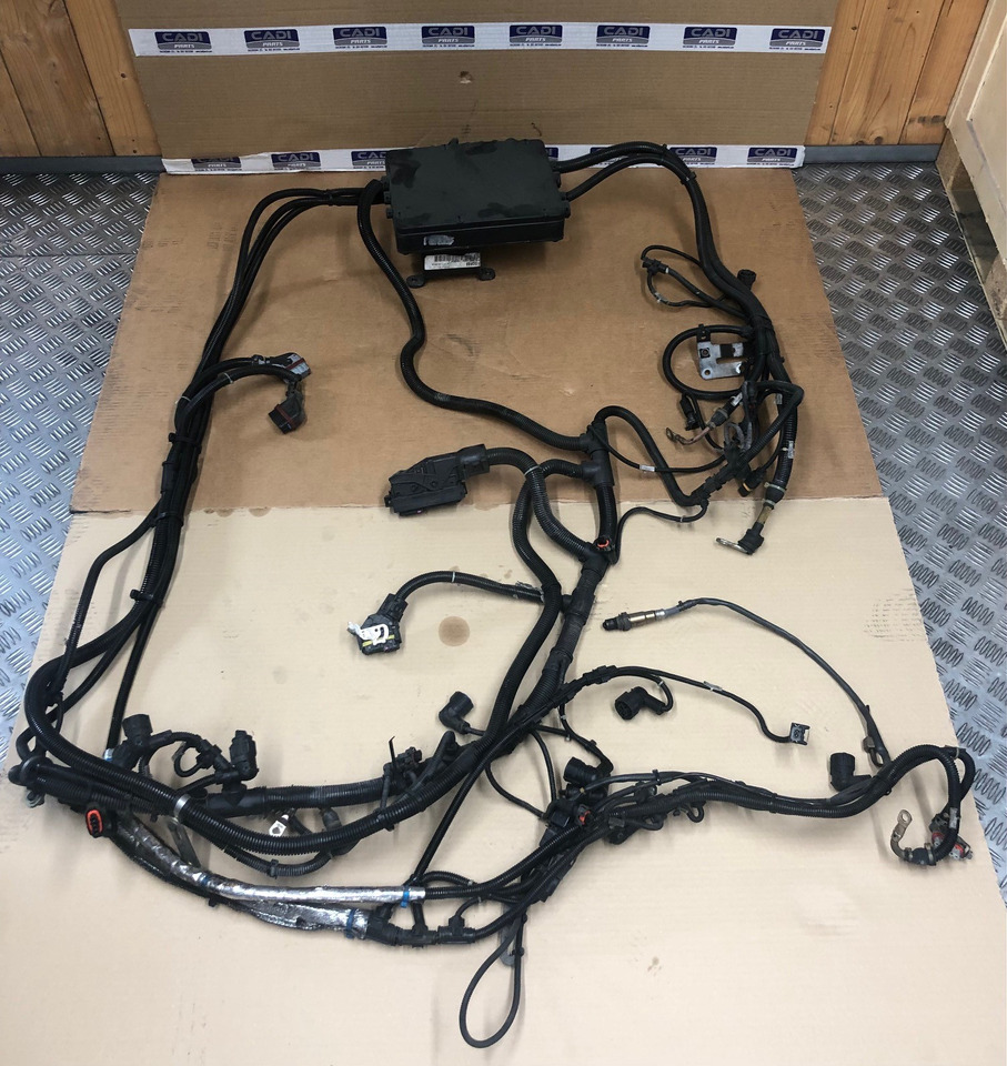 FASCIA CAVI MOTORE MAN 81254246448 - Cables/ Alambres para Camión: foto 1 FASCIA CAVI MOTORE MAN 81254246448 - Cables/ Alambres para Camión: foto 1